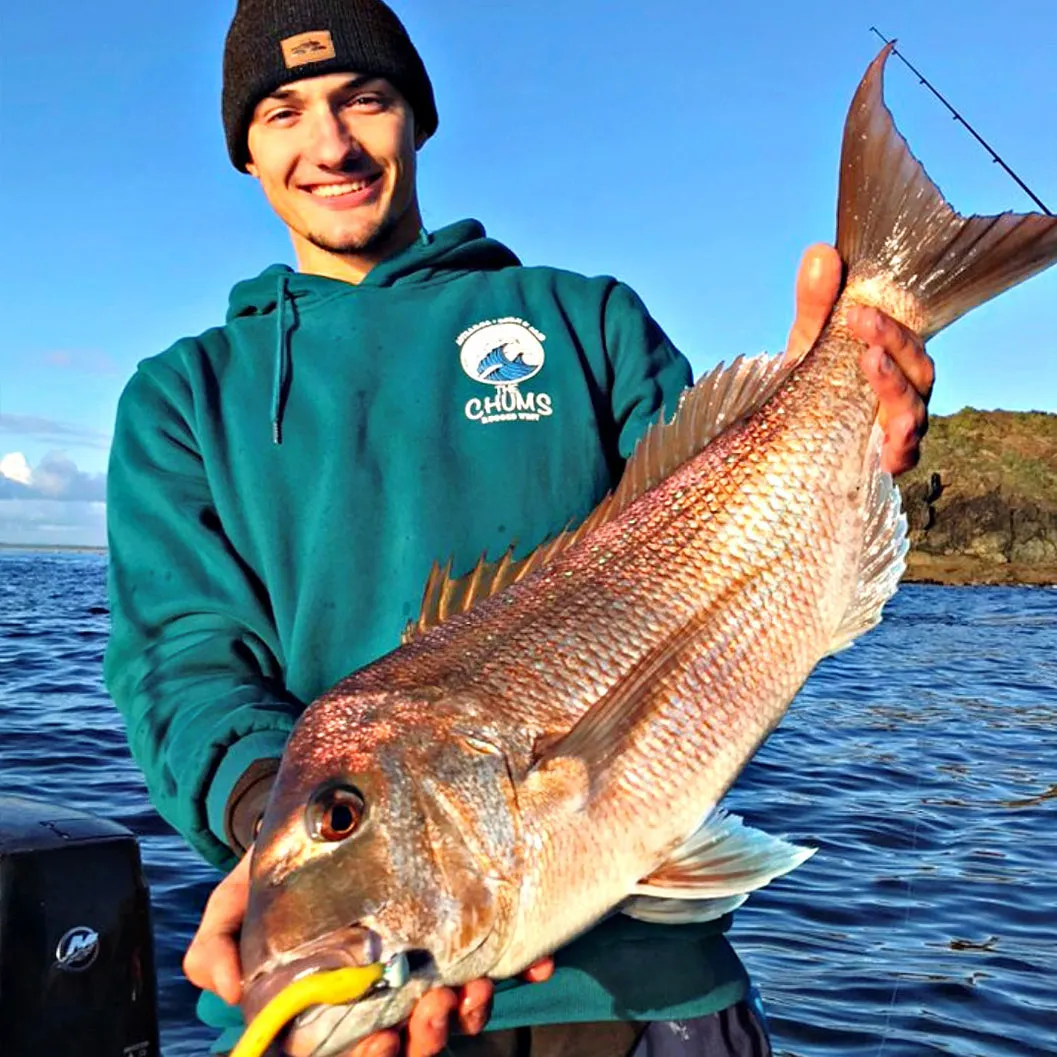 Catch Black Label Livies Softbait 5 or 7" Jerkshad - Bananarama