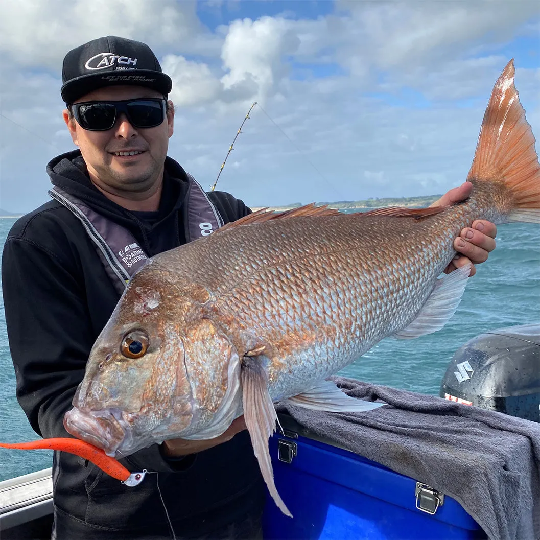 Catch Black Label Livies Softbait 5 or 7" Jerkshad - Engine Oil