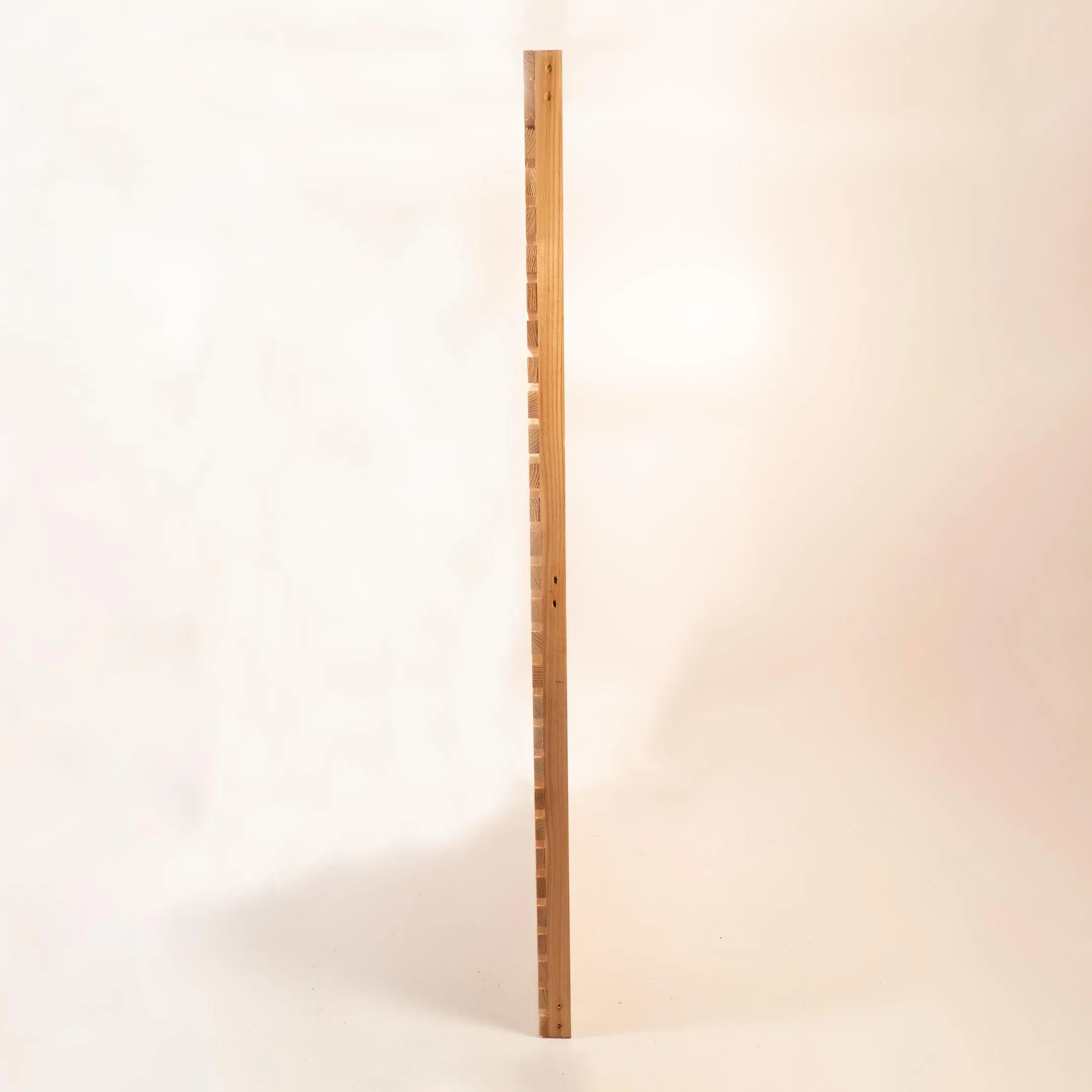 Cedar Slatted Gate Single