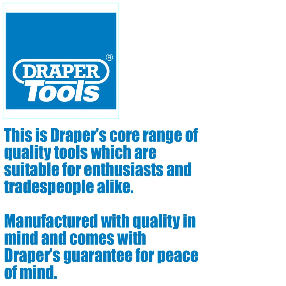 Draper 10L Plastic Petrol Can | Jerry Fuel Diesel Can | 10000cc Water Container | 20mm Flexible Spout Diameter | 290mm Spout Length  09055 09058