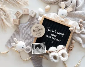 Easter Baby Announcement Digital Reveal With Bunny Rabbits And Eggs