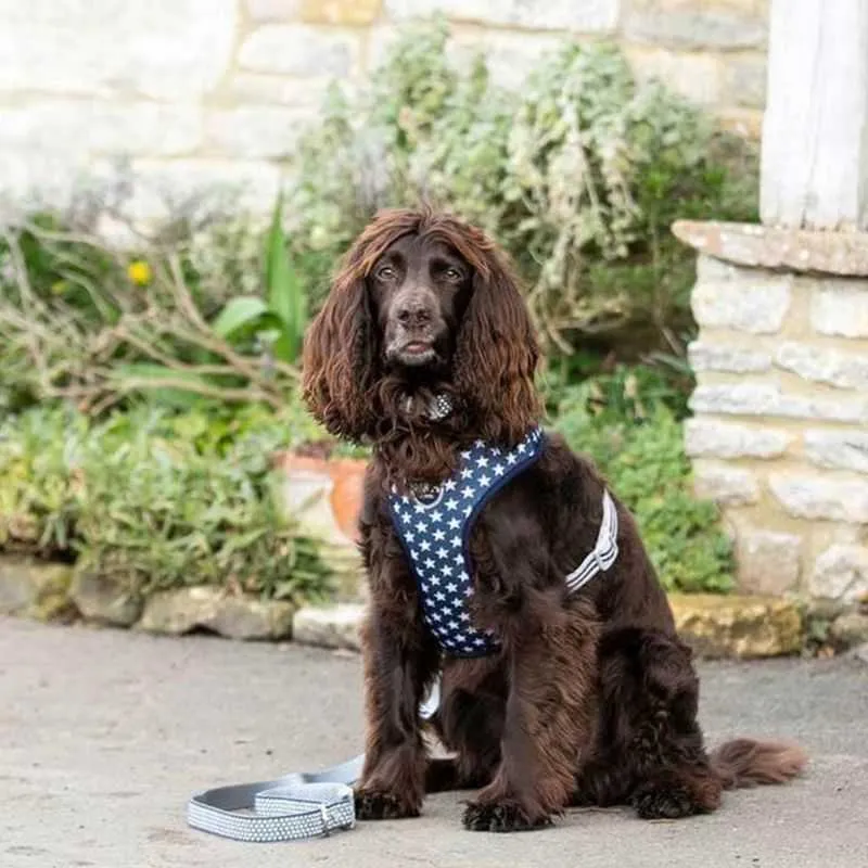 Hugo & Hudson Navy Star Dog Harness