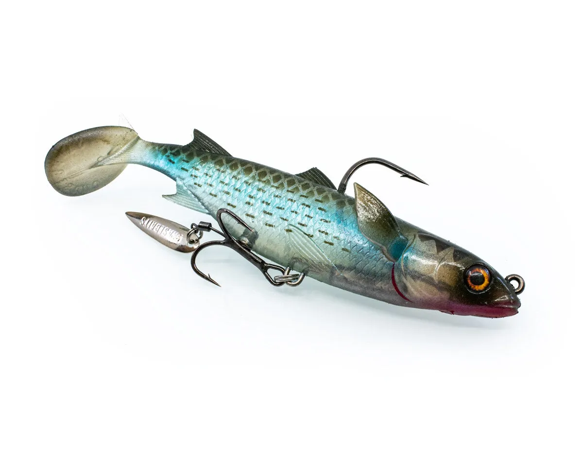 PODDY MULLET