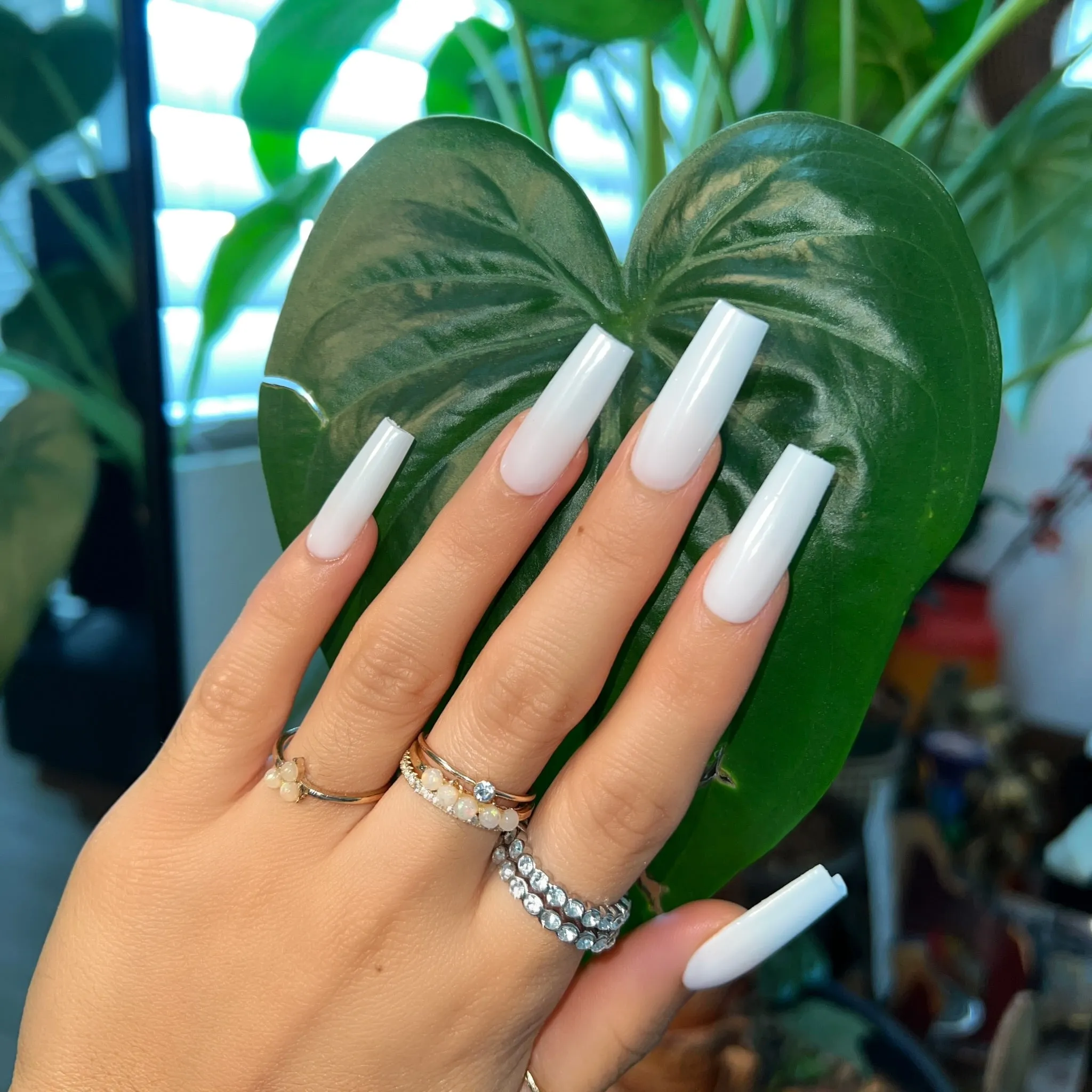 SOFT WHITE