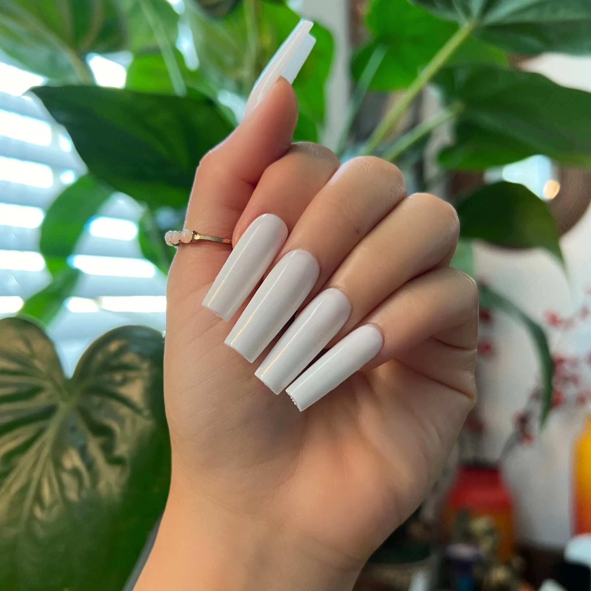 SOFT WHITE