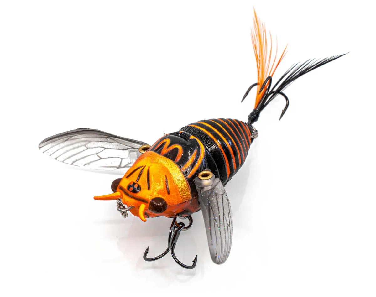 The Ripple Cicada