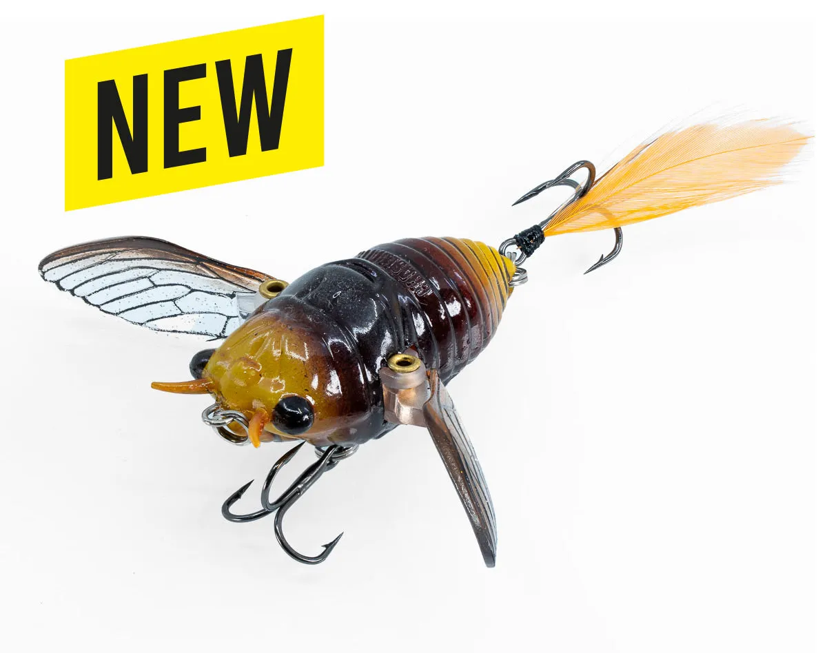 The Ripple Cicada