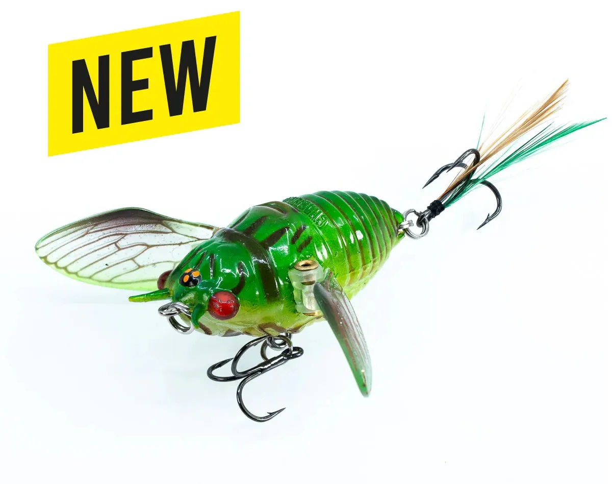 The Ripple Cicada