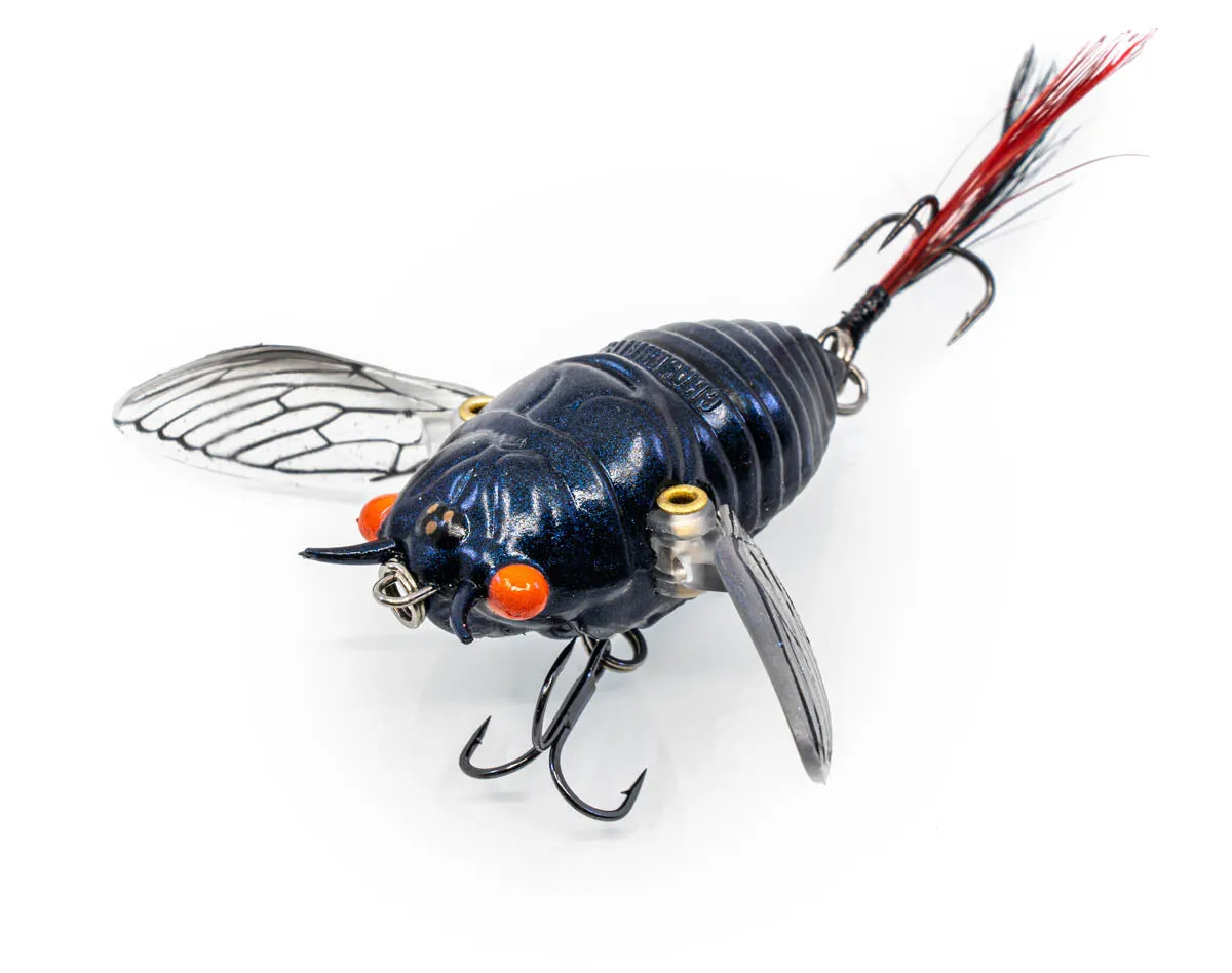 The Ripple Cicada