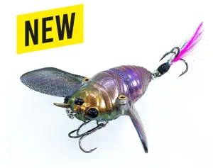 The Ripple Cicada