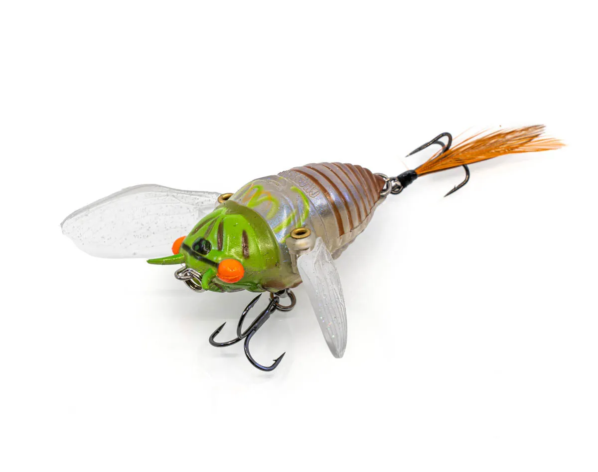 The Ripple Cicada