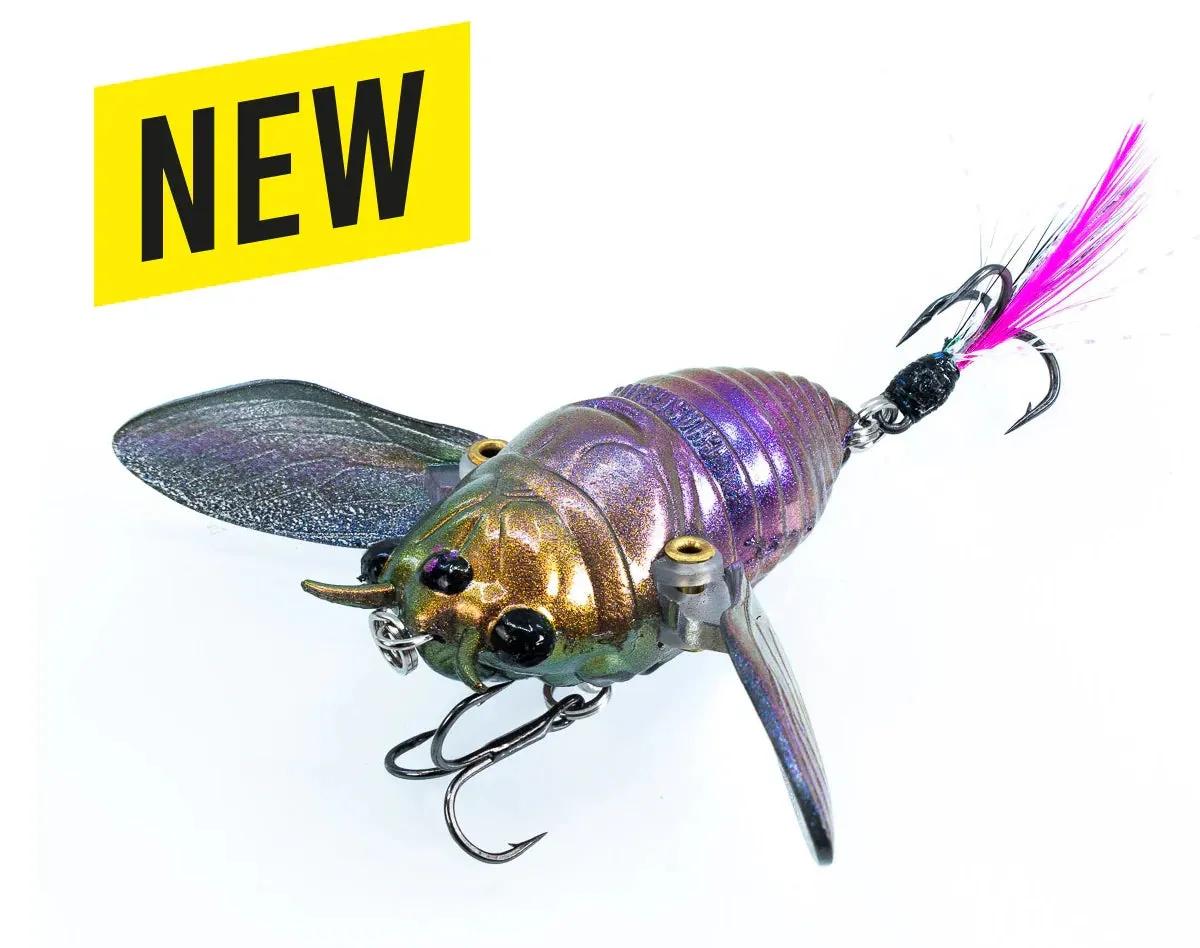 The Ripple Cicada