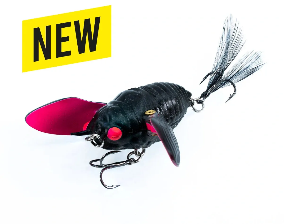 The Ripple Cicada