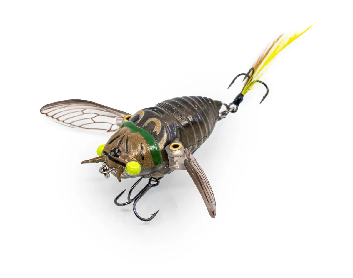 The Ripple Cicada