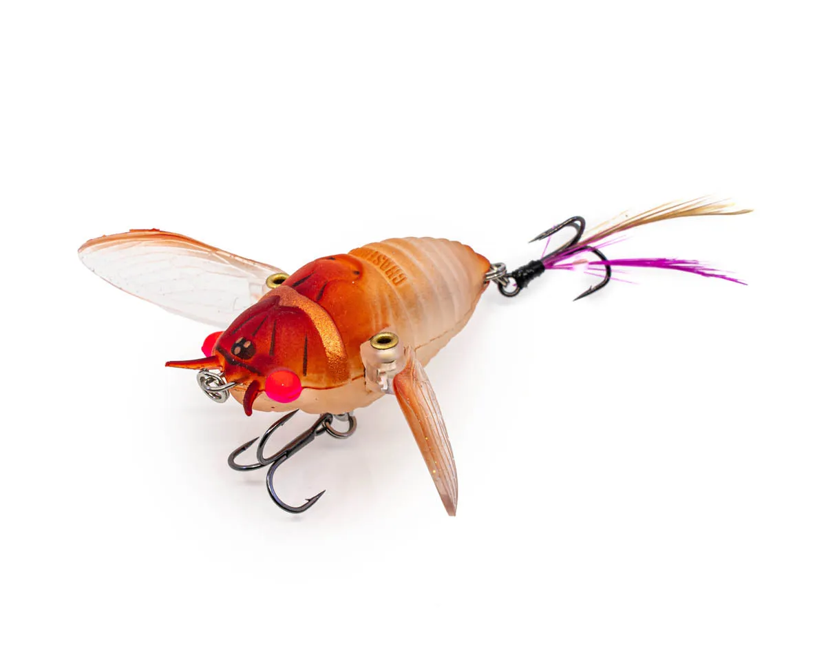 The Ripple Cicada