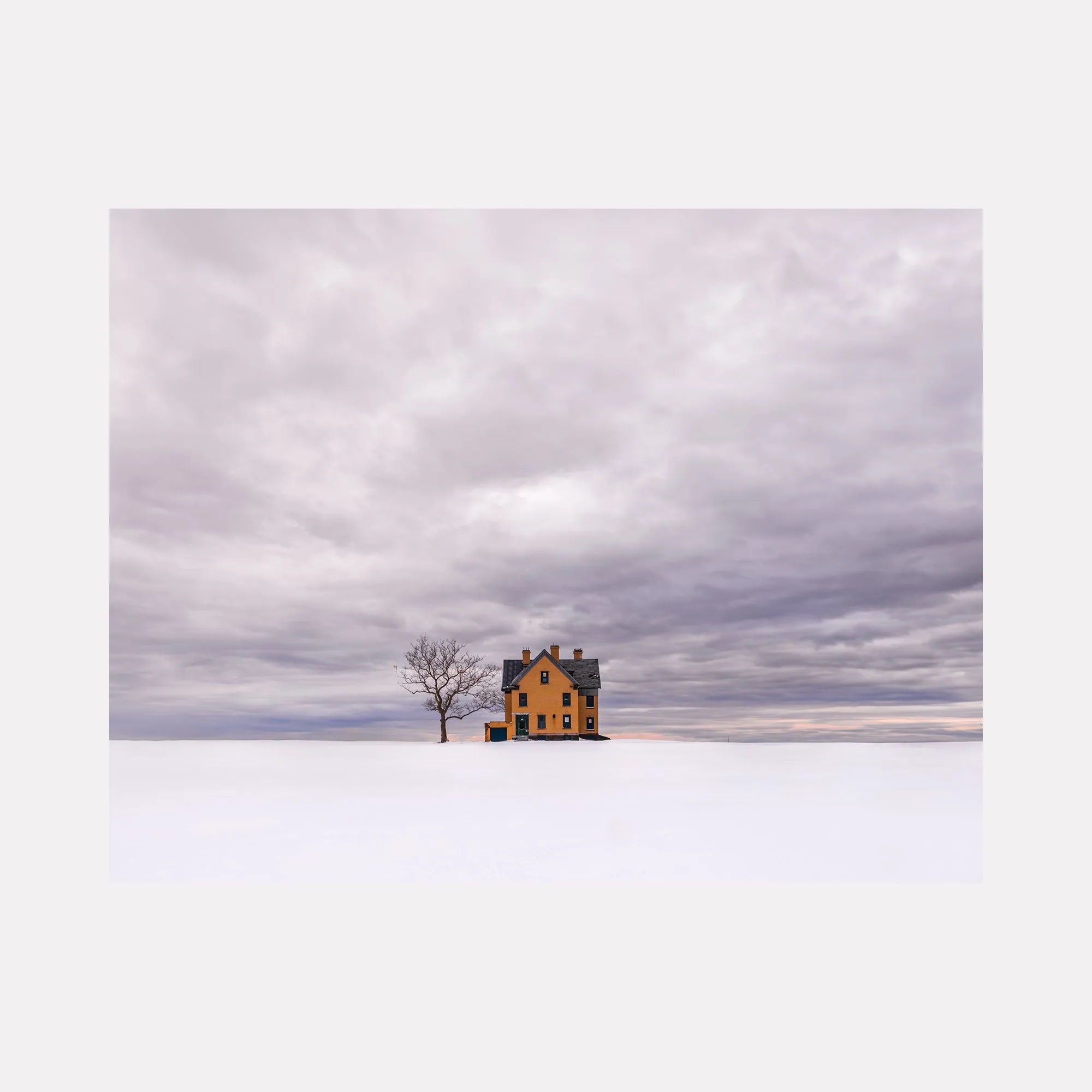 Winter's Soft Campaign